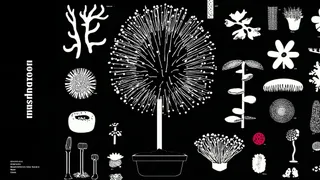 Precise Botanical Field Guide Plate of Impossible 2 preview