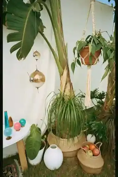 Sun-Bleached Glass Satellites Orbit Backward, a Midjourney sref remix: sun-bleached glass satellites orbit backward through a silent film studio, surrounded by enormous houseplants, playful photo style