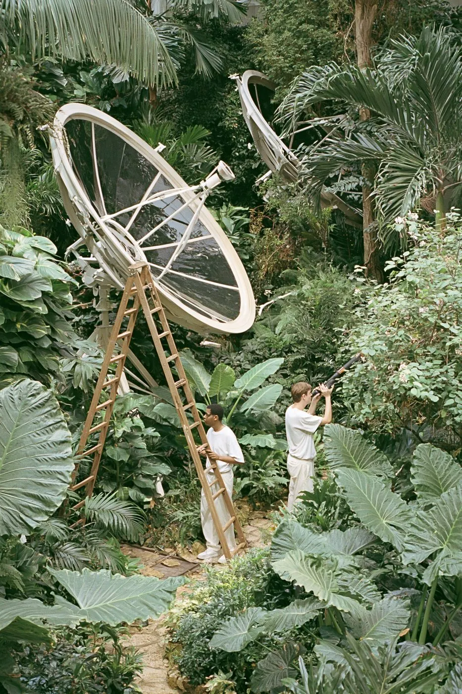 Sun-Bleached Glass Satellites Orbit Backward, a Midjourney sref remix: sun-bleached glass satellites orbit backward through a silent film studio, surrounded by enormous houseplants, surreal photo style