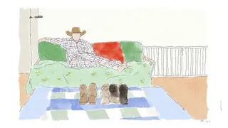 Cowboy Waving preview