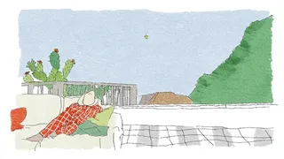 Cowboy Waving preview
